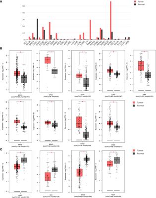 GREM1 is a novel serum diagnostic marker and potential therapeutic target for pancreatic ductal adenocarcinoma